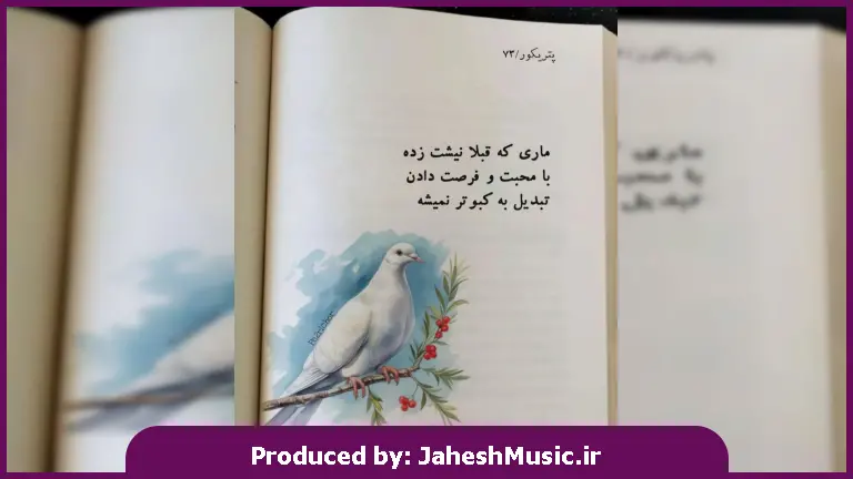 دانلود آهنگ عشق تو دیوونگی داشت یه جنون خواستنی داشت 
